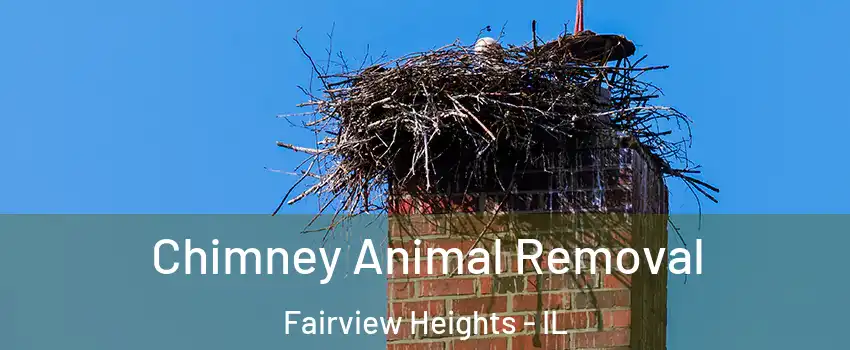  Chimney Animal Removal Fairview Heights - IL