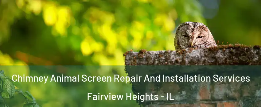  Chimney Animal Screen Repair And Installation Services Fairview Heights - IL