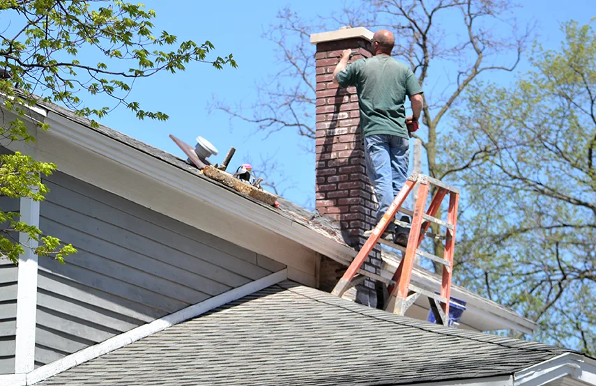 Chimney & Fireplace Inspections Services in Fairview Heights, IL